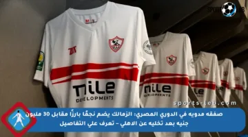 صفقة مدوية في الدوري المصري: الزمالك يضم نجمًا بارزًا مقابل 30 مليون جنيه بعد تخليه عن الأهلي – تعرف على التفاصيل